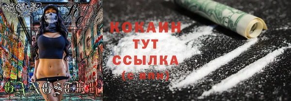 бошки Осинники