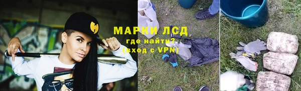 ешки Аркадак