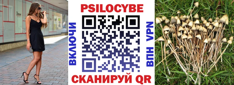 Псилоцибиновые грибы Magic Shrooms  цены наркотик  KRAKEN маркетплейс  Славск 